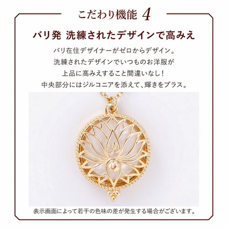 プレミアムリッチルーペネックレス ★送料無料