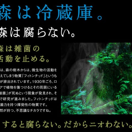 デオドランド 天然アロマ 自然の香り 気分 爽快 リフレッシュ 森の爽風ミスト 150ml ★送料無料★