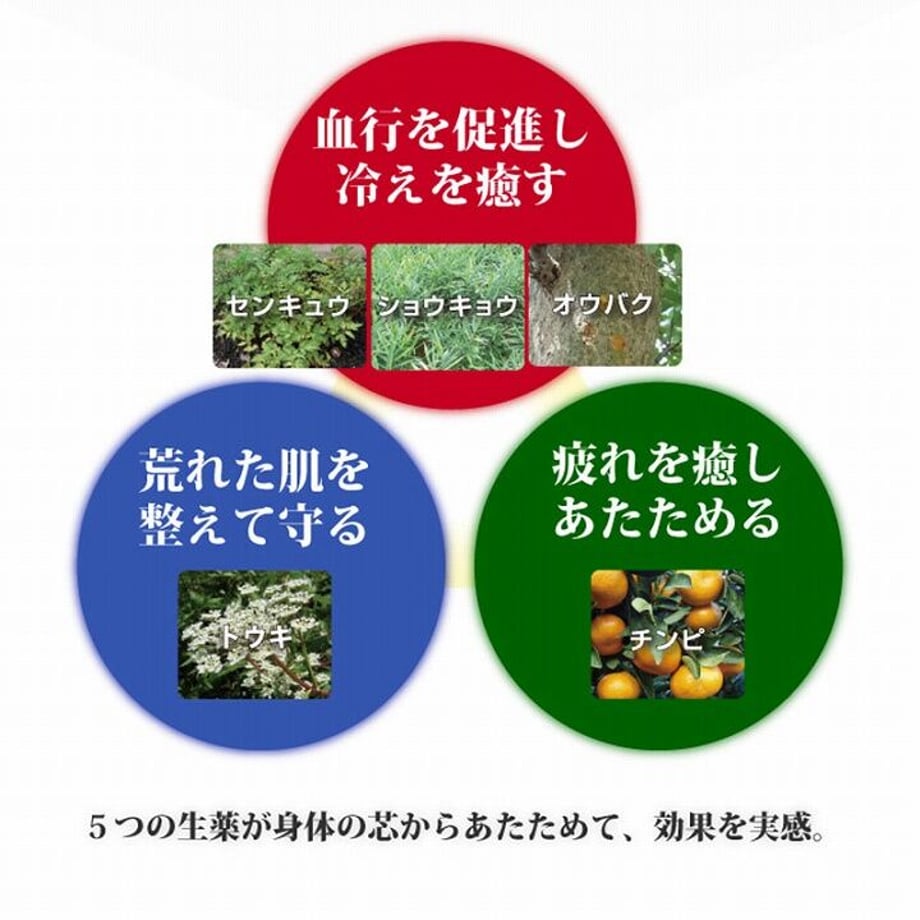 641bf18f902533004d163707