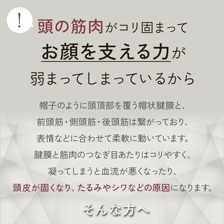 EMS＆RF リフトブラシボーテ ★送料無料