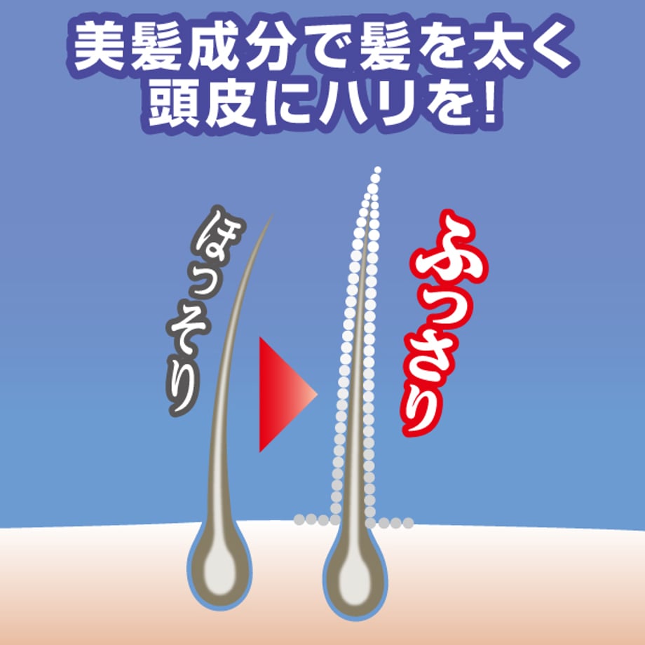 6699f2c3db24c400909e33e4