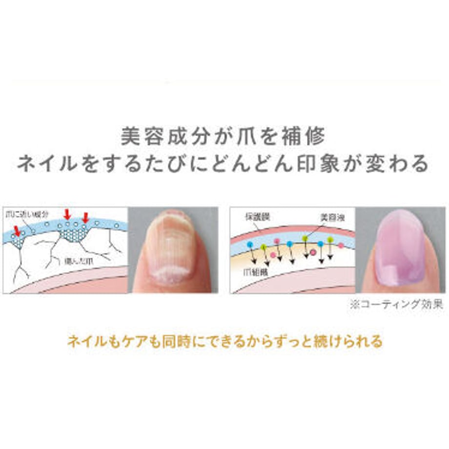 64006e5ae2f3b61f18055022