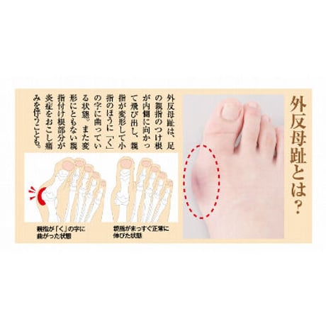 Dr.福岡の寝ながら外反母趾サポーター ★送料無料