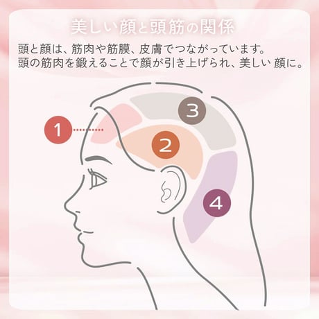 EMS＆RF リフトブラシボーテ ★送料無料