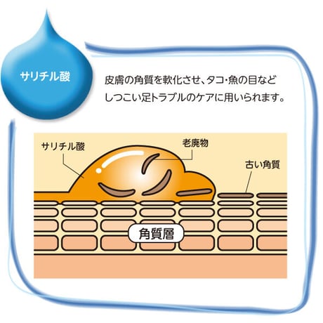 まめノン