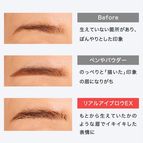 アイブロウ 眉毛 眉毛ファイバー リアルアイブロウEX ★送料無料★