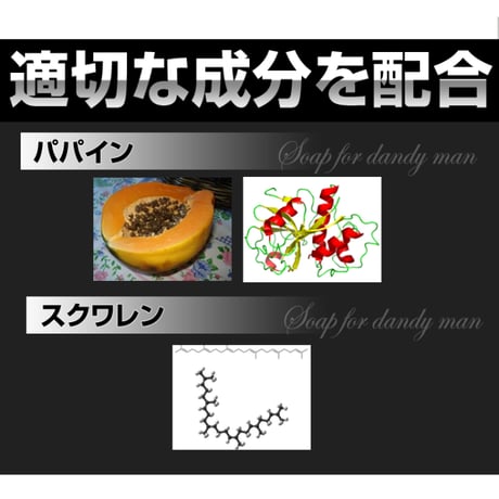 ジェントルブラックエピ ★送料無料