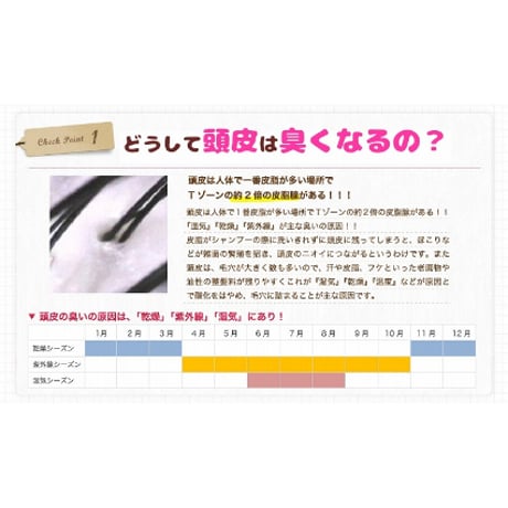 Mignon　Scalp　Hair　Mist（ミニョン　スカルプ　ヘア　ミスト） ★送料無料