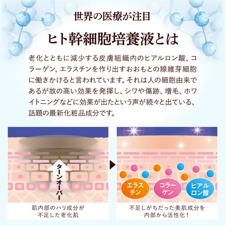 BJポイントクリアスティック ★送料無料