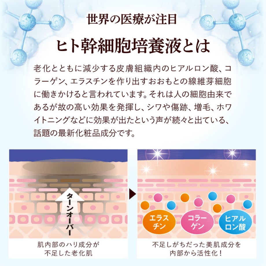 6800a5443cc552b368395b73