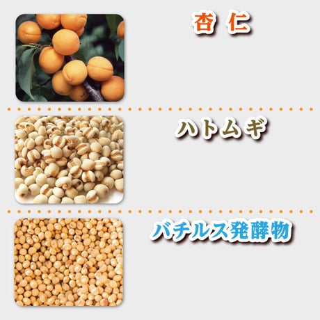 イポロンG 150g 増量版