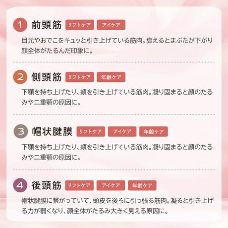 EMS＆RF リフトブラシボーテ ★送料無料