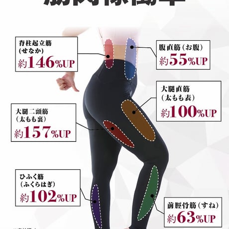 体幹筋エクサインソール インソールツインボール ★送料無料
