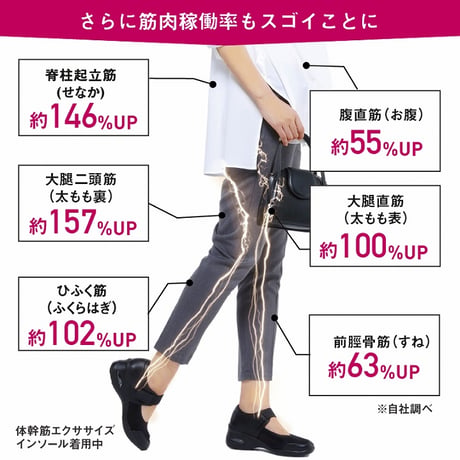 体幹筋エクサインソール インソールツインボール ★送料無料