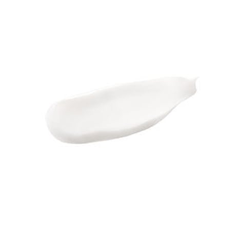 EBM ES スキンクリーム S 100g