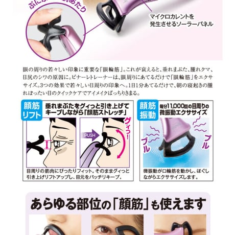 フェイレッチ ビナーレトレーナー