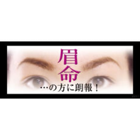天然ヘナエキスの消えにくい眉 ヘナアイズ　眉毛 メイク ヘナ ペンタイプ ★送料無料