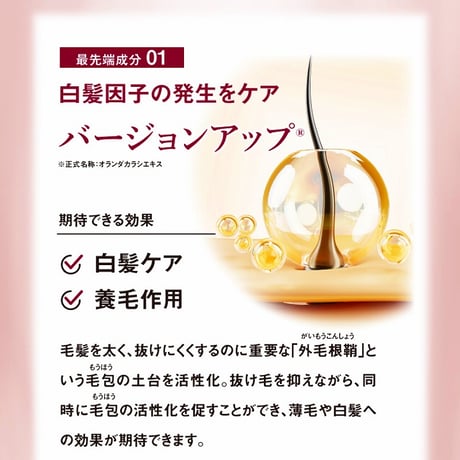 クイックヤングカラースティック ダークブラウン★送料無料