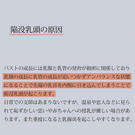 乳首吸引器 ドリームチャームアジャスト ピンク ★送料無料