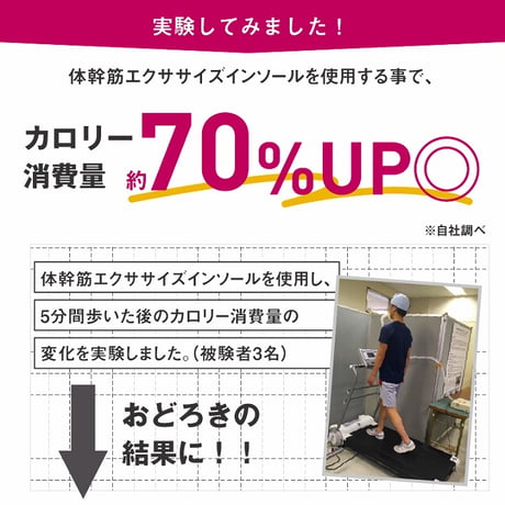 体幹筋エクサインソール インソールツインボール ★送料無料