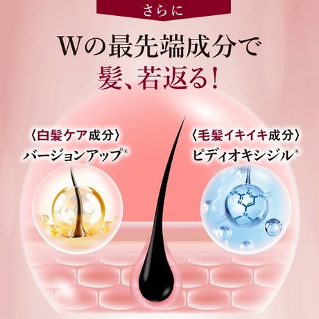 クイックヤングカラースティック ダークブラウン★送料無料