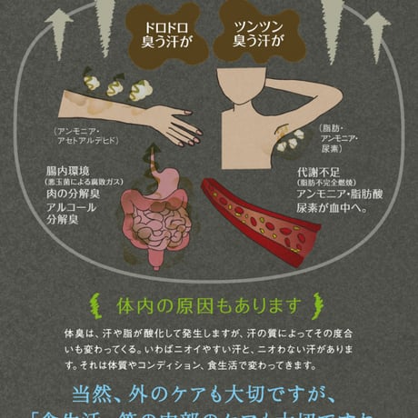 デオドランド 天然アロマ 自然の香り 気分 爽快 リフレッシュ 森の爽風ミスト 150ml ★送料無料★