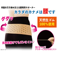天然ゴム 男女兼用 日本製 健康 骨盤ベルト リフォームサポーター ★送料無料