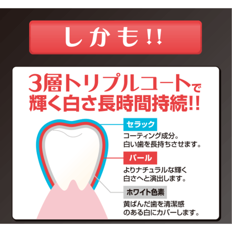デンタルパール ★送料無料