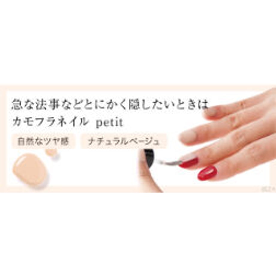 640073d1db33f6135b067da8