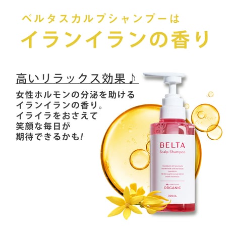 ベルタ シャンプー スカルプケア BELTA ベルタスカルプシャンプー ★送料無料★