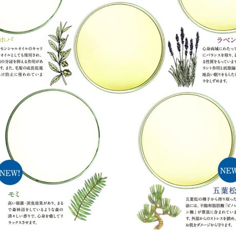 デオドランド 天然アロマ 自然の香り 気分 爽快 リフレッシュ 森の爽風ミスト 150ml ★送料無料★