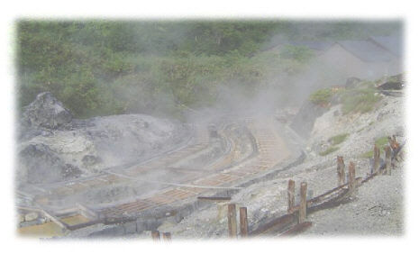 温浴器 美石の湯 天然鉱石 温泉 ヒノキ ☆送料無料 | PROFIT BEAUTY SHOP