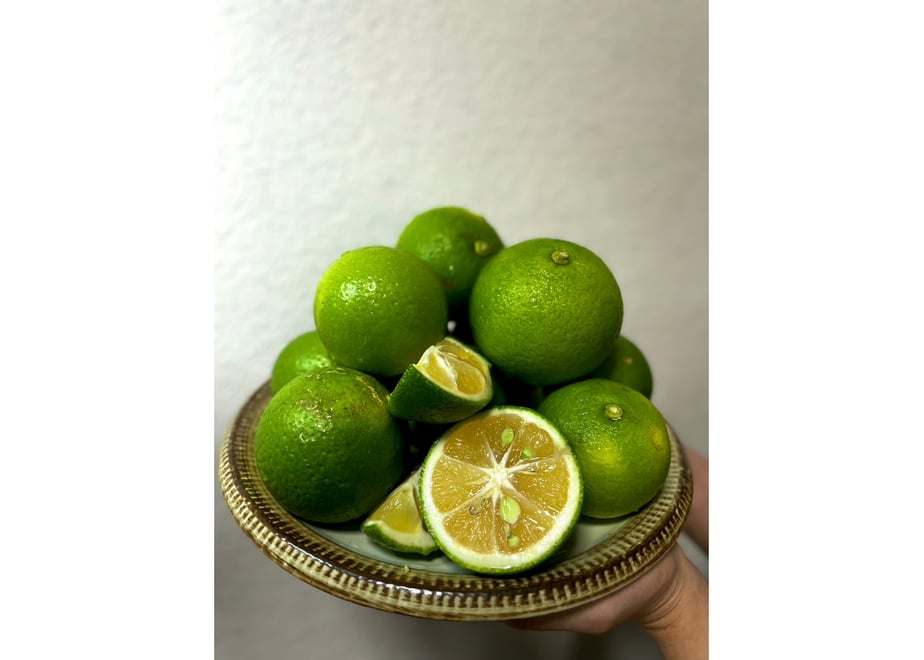 65a5ebc2f0358e0036b8b0d4
