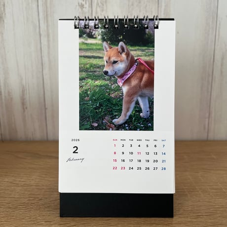 柴犬グッズ | STORES