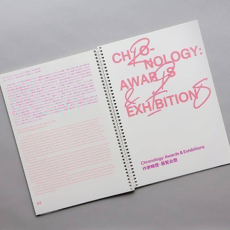 ピピロッティ・リスト：Your Eye Is My Island －あなたの眼はわたしの