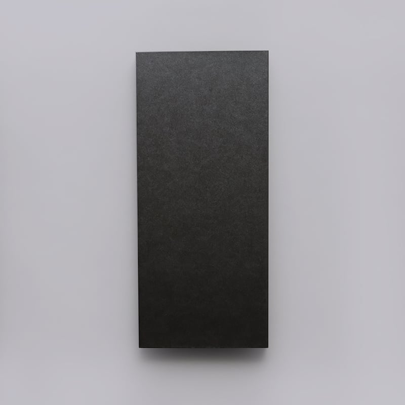 椿ページ 椿昇 2004-2009: GOLD/WHITE/BLACK | 京都国立近代美術館 Muse