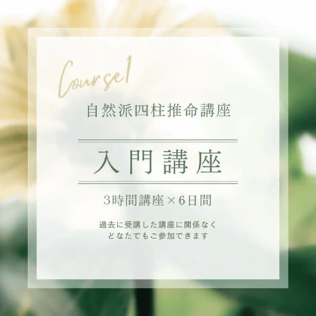 浅野太志『四柱推命の景色』　五行哲学　六十干支占い 浅野太志『四柱推命の景色』 五行哲学 六十干支占い