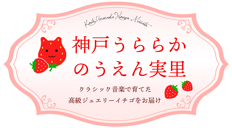 神戸うららかのうえん・実里｜高級いちご通販-取り寄せ・ギフト・贈り物・関西