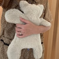 Hot water bottle  "Flat Eric "   ♡