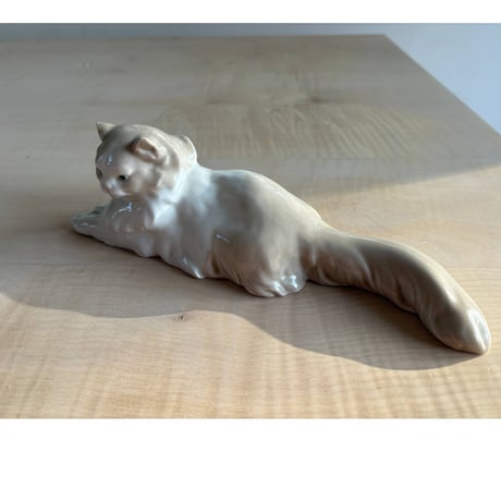 You are beautiful cat ♡