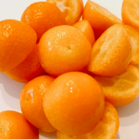 金柑のコーディアル citrus japonica ♡
