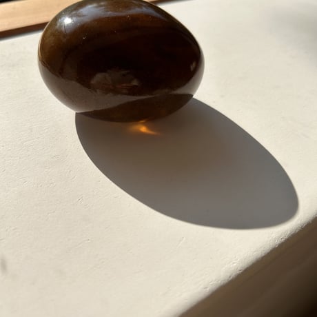 Beautiful paper weight (brawn)