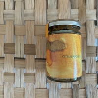金柑のコーディアル citrus japonica ♡