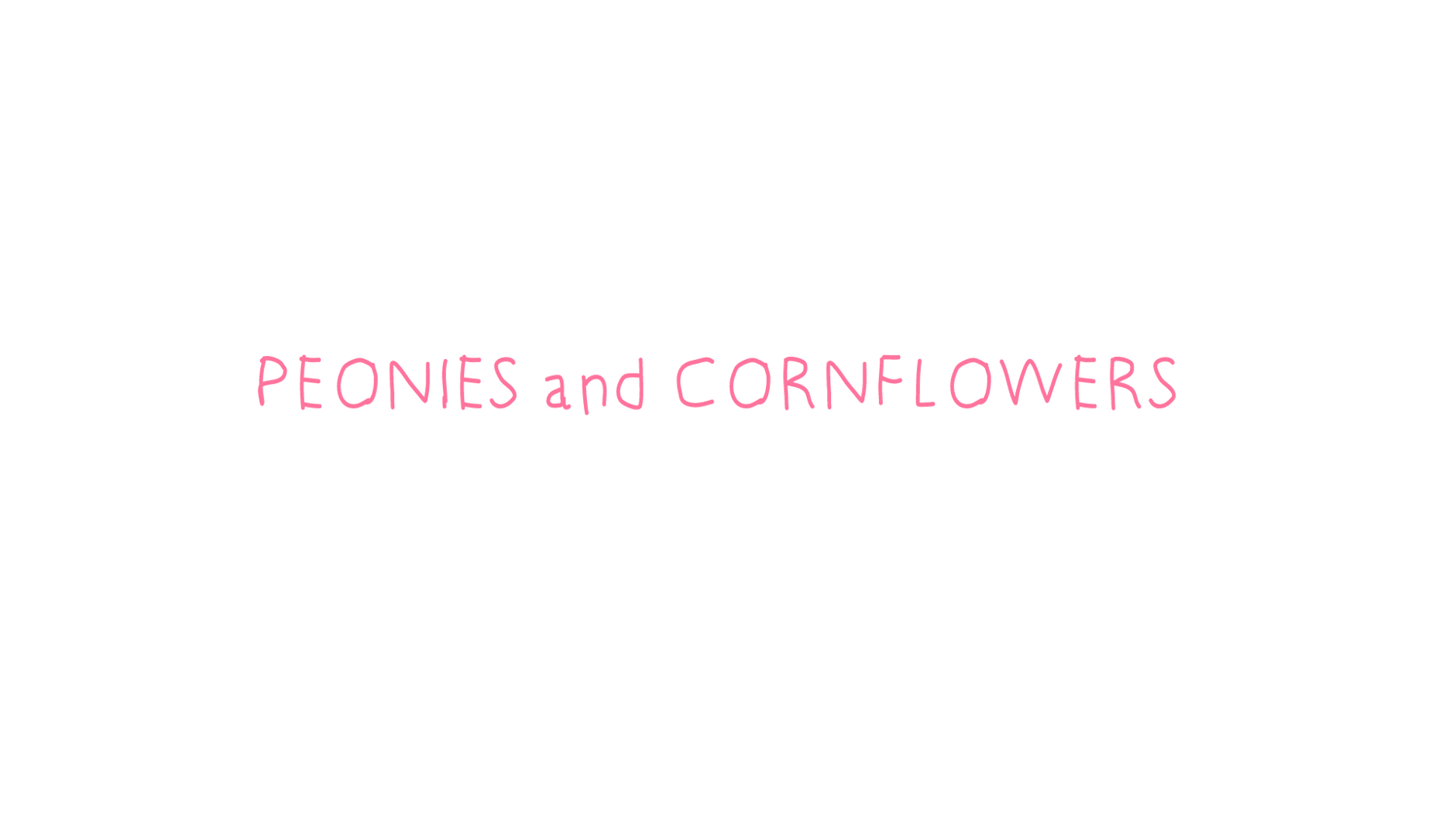 PEONIES and CORNFLOWERS