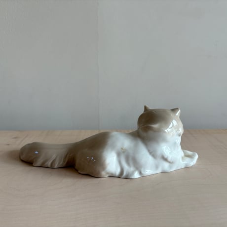 You are beautiful cat ♡