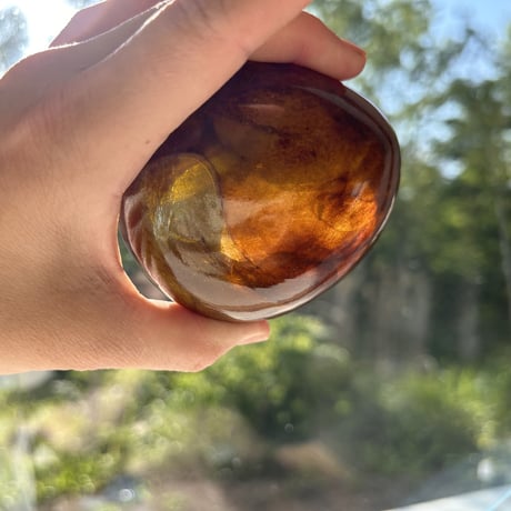 Beautiful paper weight (brawn)