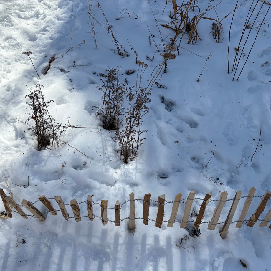 67c03195d397ae032c92f8c1