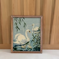 swan♡swan