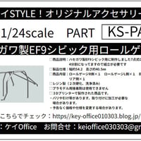 PA64　ハセガワ製EF9シビック用ロールゲージ　ケイSTYLE!　THEストリートシリーズ　1/24scale　カーモデル用　1台分　3Dプリント　レジン製