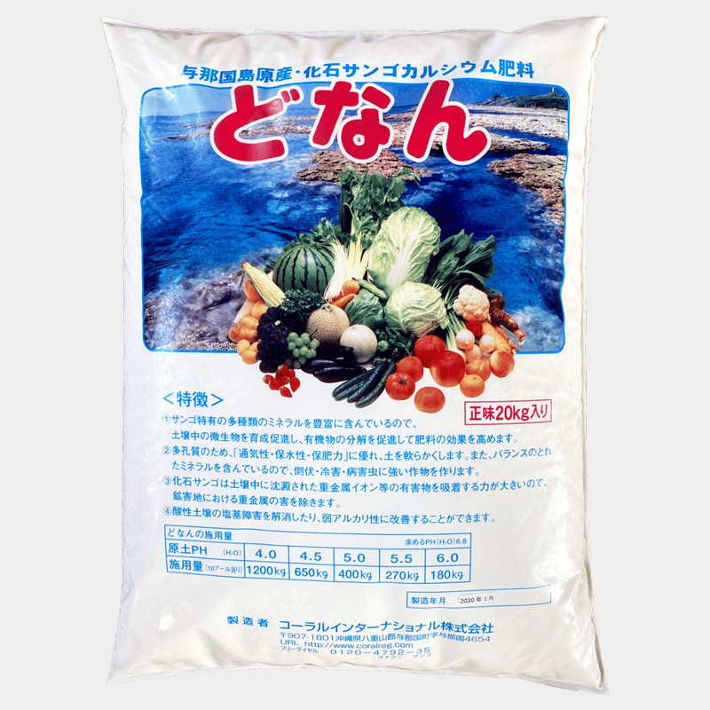 中国 雲南省産 サンゴ化石 希少 大型 珊瑚の化石群を発見、少なくとも1